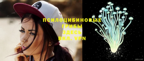 бутират Алексин
