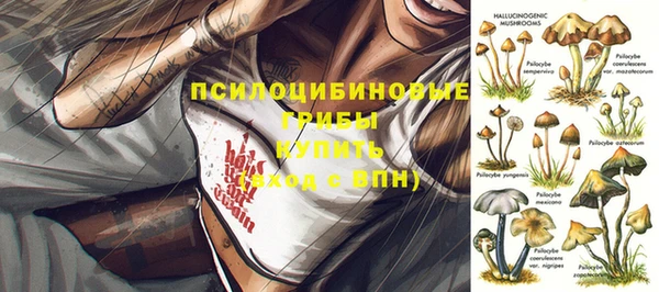 бутират Алексин