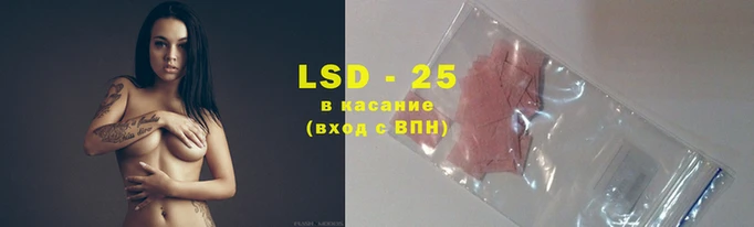 ешки Алзамай