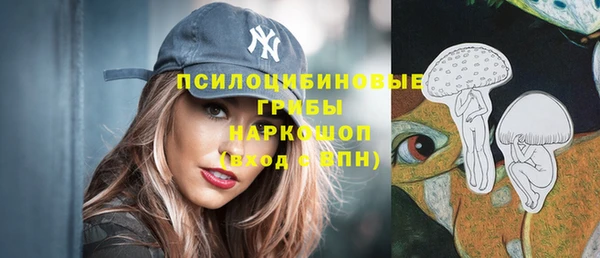 ешки Алзамай