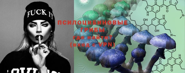 бутират Алексин