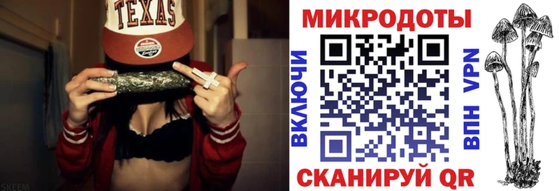 мориарти какой сайт  Шацк  Галлюциногенные грибы Cubensis 